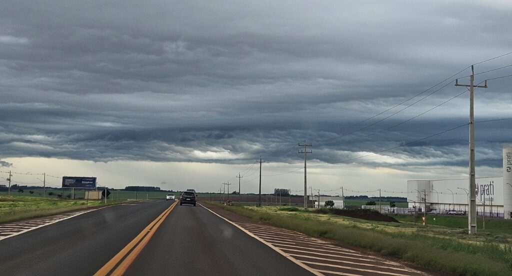 Foto: Portal Palotina
